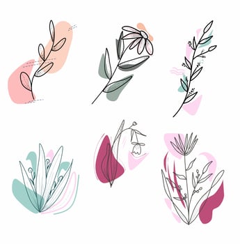 Flower aesthetic with shape collection vector
