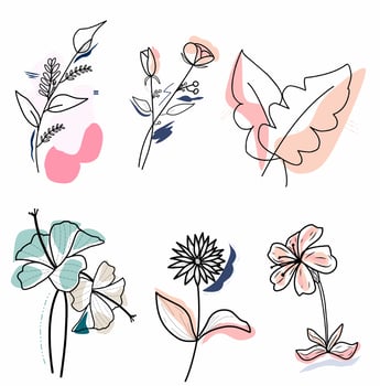 Flower aesthetic with shape collection vector