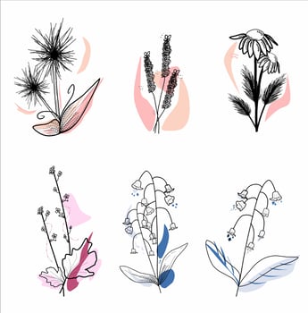 Flower aesthetic with shape collection vector