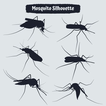 Collection of animal mosquito silhouettes vector