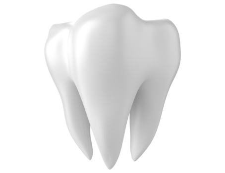 3d dental teeth isolated on Transparent background PNG
