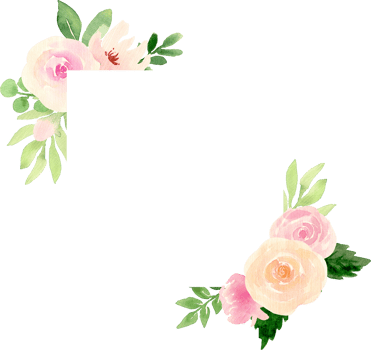 Square Frame of Blush Pink and Peach Roses with Green Leaves Elegant Floral Decoration png