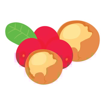 Useful food icon, isometric style vector