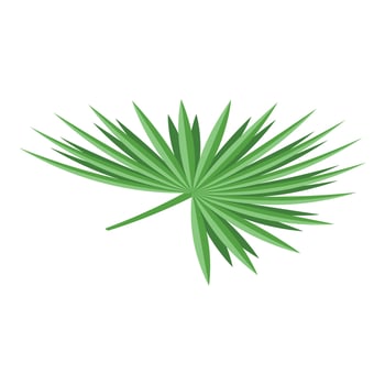 Palm tree leaf icon, isometric style vector