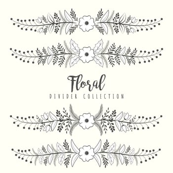 Hand drawn floral divider borders collection with branches and flower vector