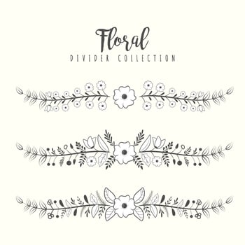 Hand drawn floral divider borders collection with branches and flower vector