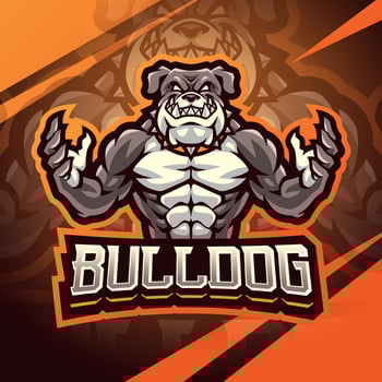 Bulldog fighter mascot logo design vector