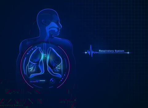 respiratory system element vector