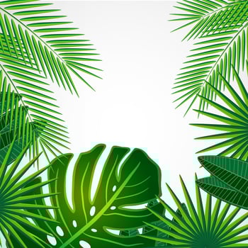 Tropical leaves. Floral design background. vector