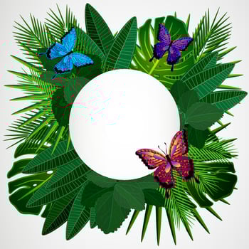 Tropical leaves with butterflies. Floral design background. vector