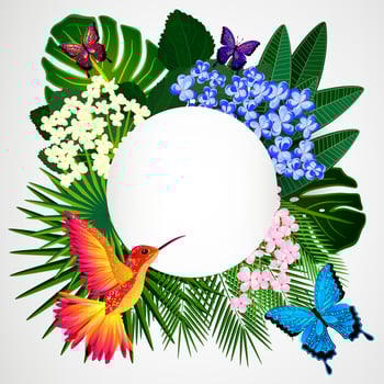 Floral design background. Tropical flowers, birds and butterflies. vector