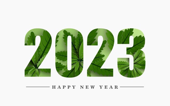 Happy New Year 2023. design green leaves inside number on white background. vector
