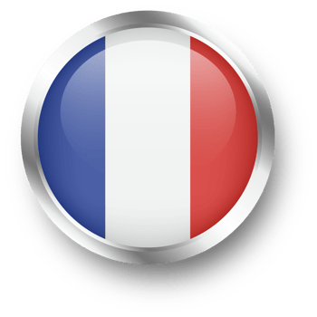 Official flag of France in silver circle shape. Nation flag illustration. png