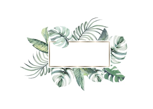 Tropical plants leaves, monstera background.Frame leaves with watercolor.Botanical background. vector
