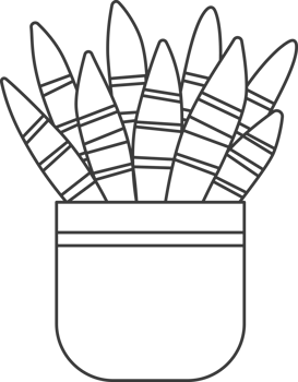 cactus plant minimal, drawing for coloring. png