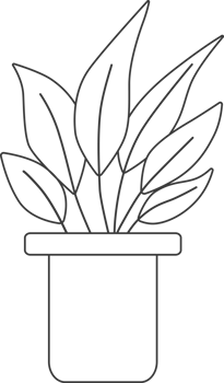 Plants in pots, drawing for coloring. png