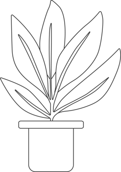 Plants in pots, drawing for coloring. png
