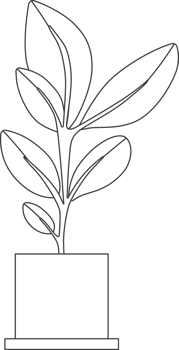 Plants in pots, drawing for coloring. png
