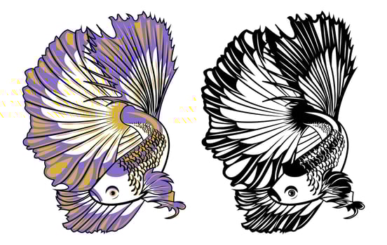 Halfmoon Betta Fish Colorful Vector Illustration