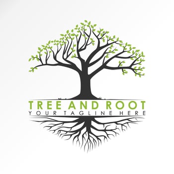 Tree and root in hexagon shape image graphic icon logo design abstract concept vector stock. Can be used as a symbol associated with the Nature or plant