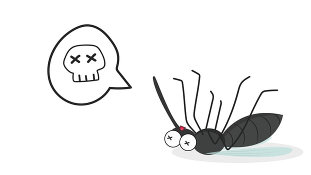 Mosquito vector. Dead mosquitoes. wallpaper. free space for text. copy space. vector