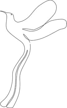 continuous line art drawing of bird vector
