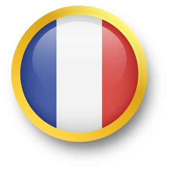Official flag of France in golden circle shape. Nation flag illustration. png