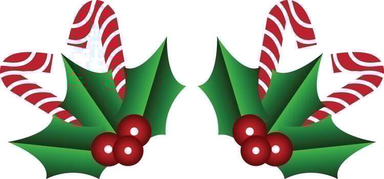 Holly berry leaves candy cane Christmas design vector