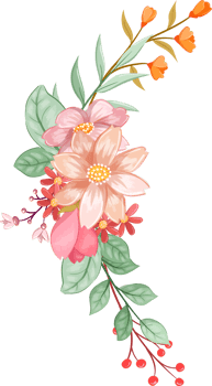 Orange Flower Arrangement with watercolor style png