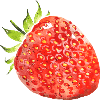 strawberry hand drawn watercolor painting png