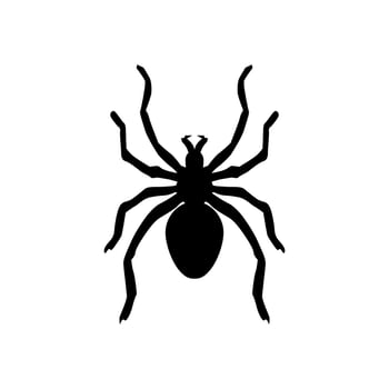 Spider silhouette vector design