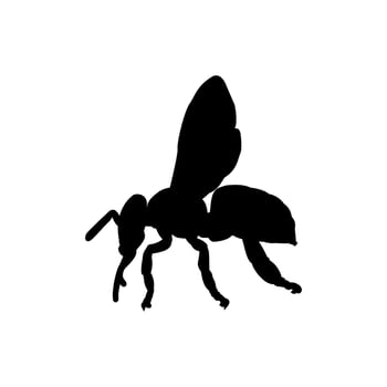 Bee silhouette vector design