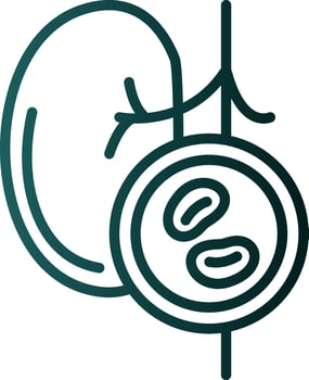 Kidney Checkup Vector Icon Design
