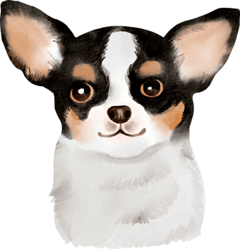 watercolor dog chihuahua png