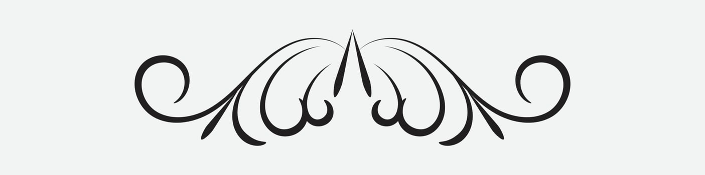 ornamental filigree flourish, thin divider. Classical vintage element, vector illustration