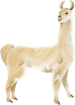watercolor Llama clip art png