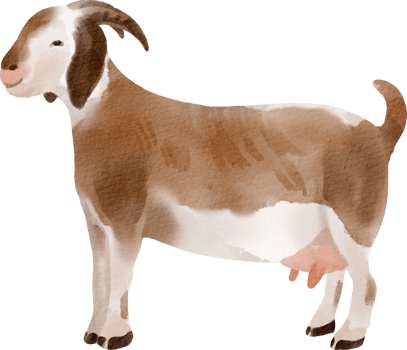 watercolor goat clip art png