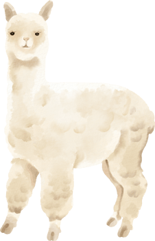 watercolor alpaca cute clip art png