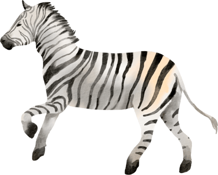 zebra watercolor clip art png