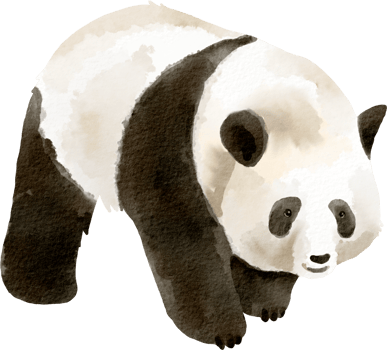 watercolor panda cute clip art png