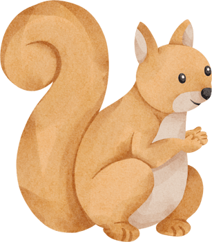 watercolor squirrel cute clip art png
