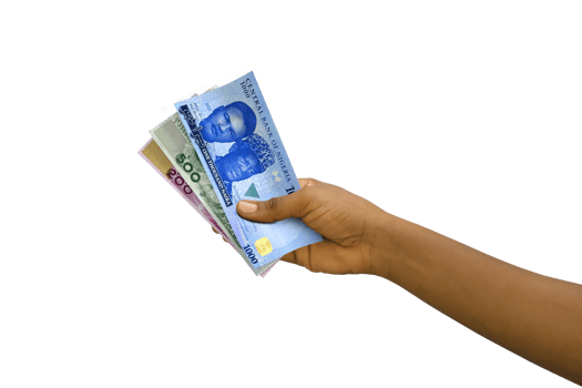 Fair hand holding new 3D rendered Nigerian Naira notes isolated on transparent background png