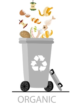 Organic Waste And Garbage. Waste sorting concept vector