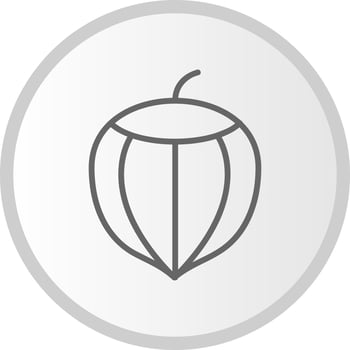 Hazelnu Vector Icon