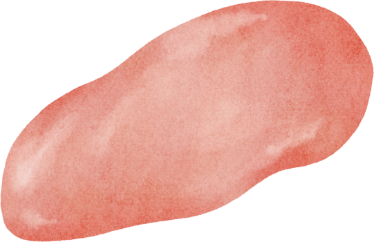 watercolor chicken meat png