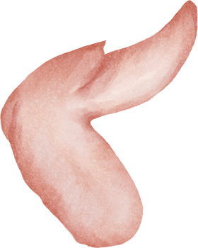 watercolor chicken wing png