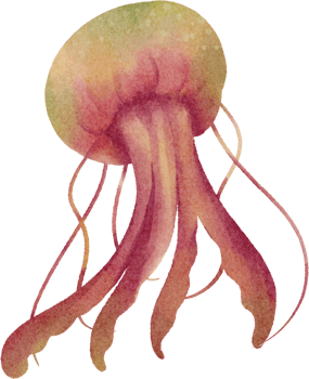 watercolor jellyfish clip art png