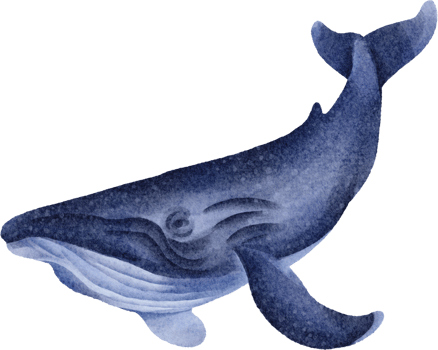 watercolor whale clip art png
