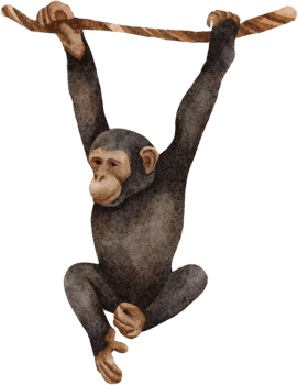 monkey watercolor clip art png