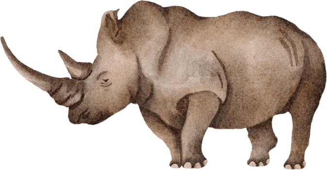 rhinoceros watercolor clip art png